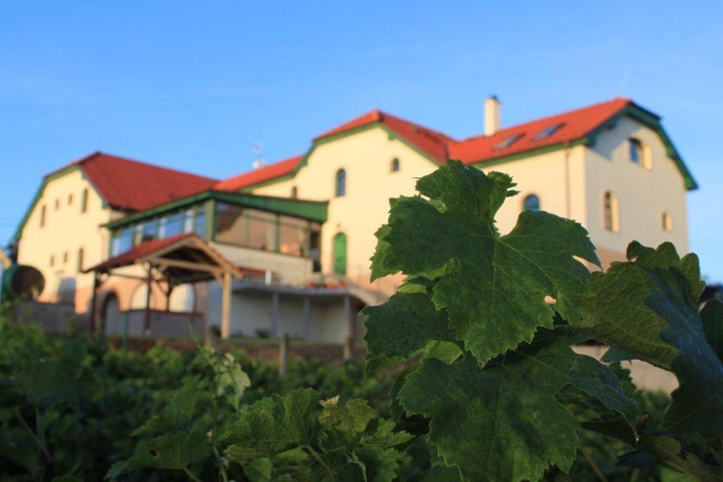 Hotel Vinohrad Milotice Exterior photo