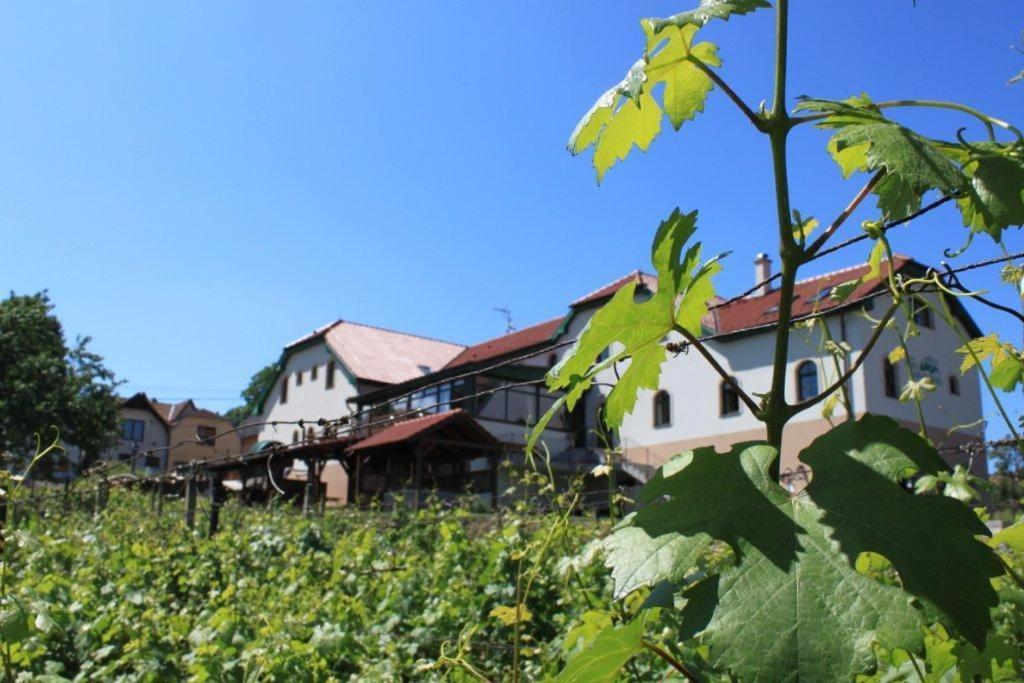 Hotel Vinohrad Milotice Exterior photo